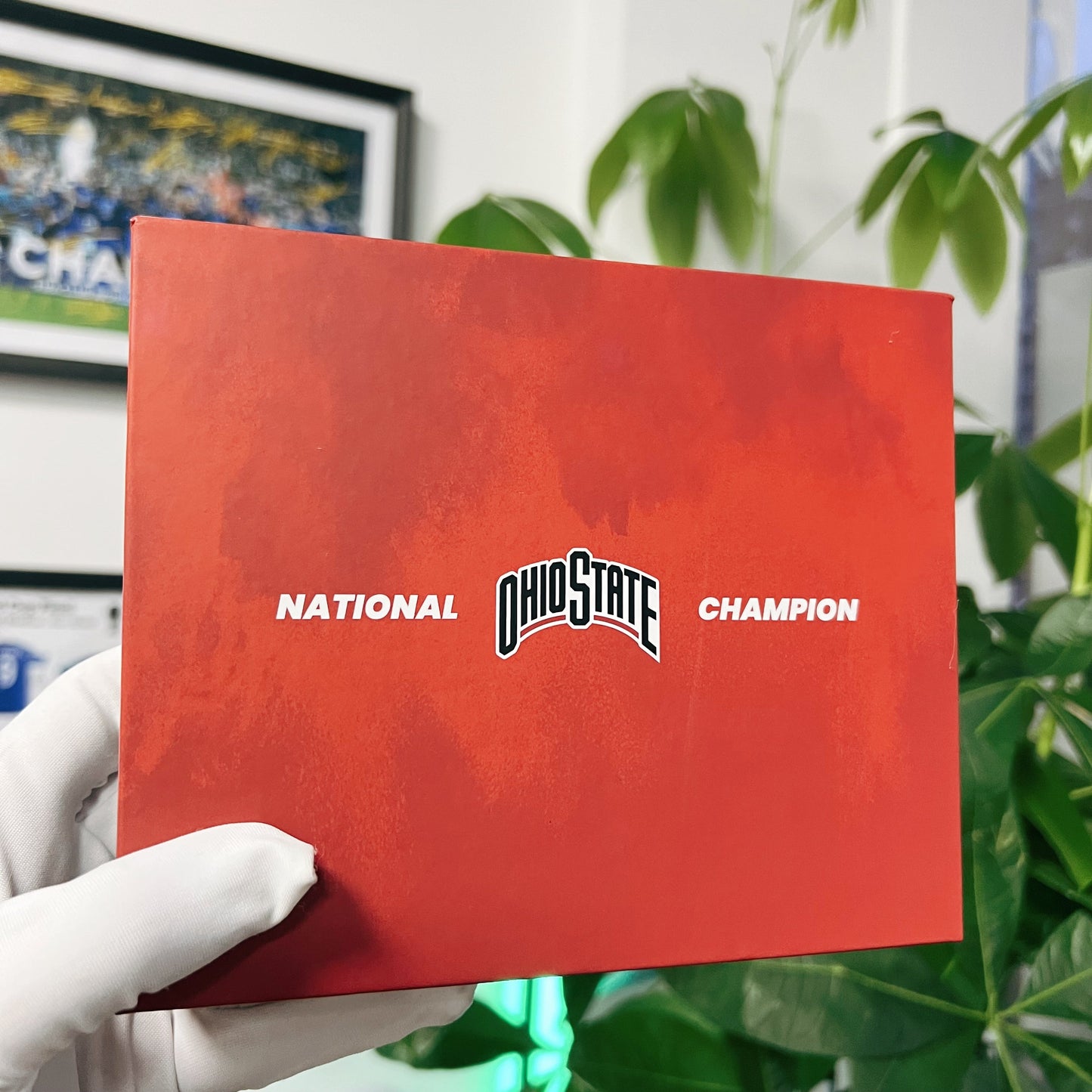 OSU Ohio State Buckeyes College Football National Championship NCAA Ring & Trophy Box