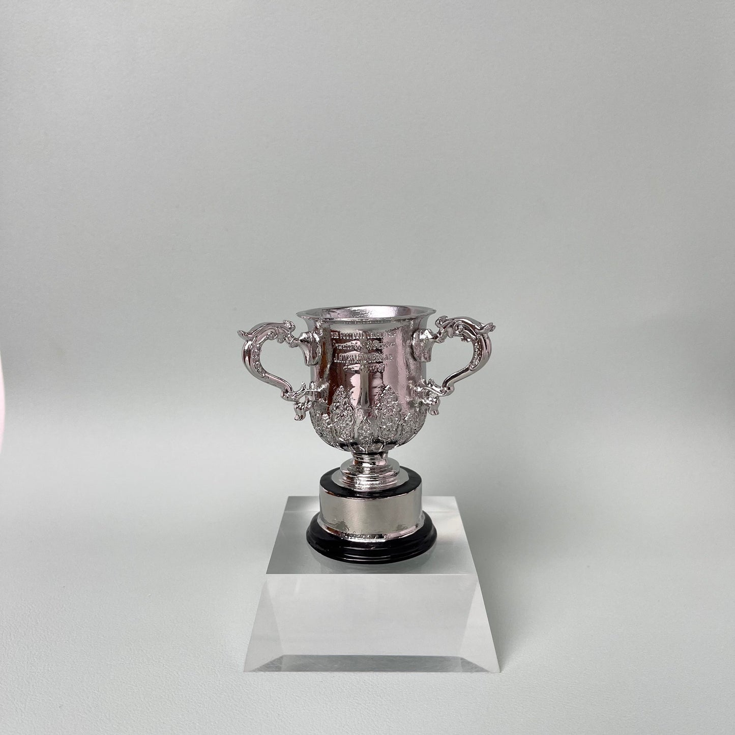 League Cup Carabao Cup Trophy(Only 42cm With 2024-25 Newcastle United Engraved On the Base) )