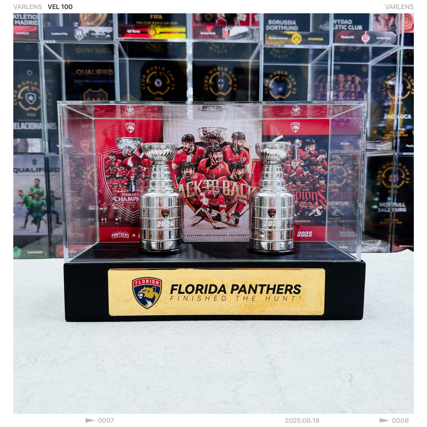 Florida Panthers NHL Trophy And Ring Display Case