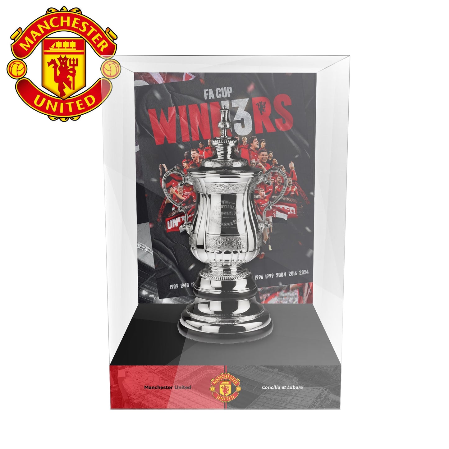 FA Cup Trophy(Indicate what ribbon you want)